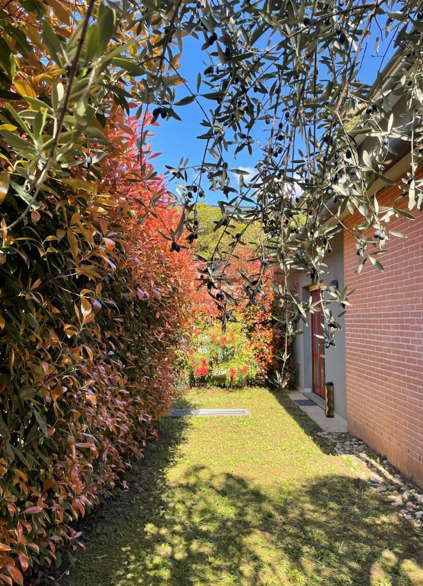 Apartament L'Ulivo Di Como Zewnętrze zdjęcie